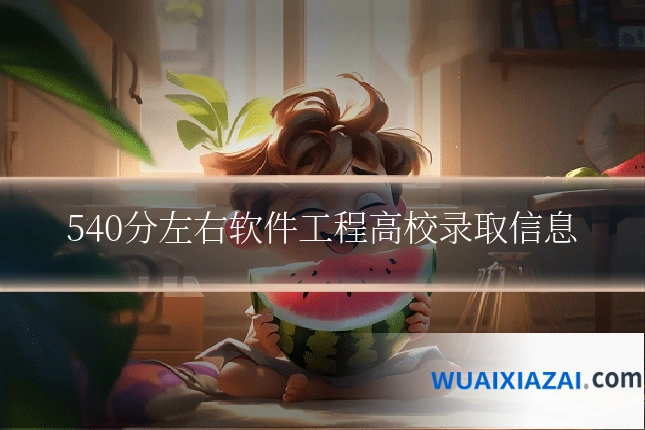 540分左右软件工程高校录取信息