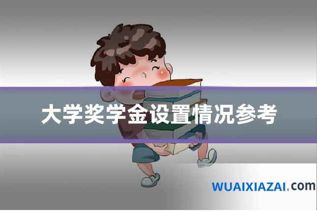 大学奖学金设置情况参考