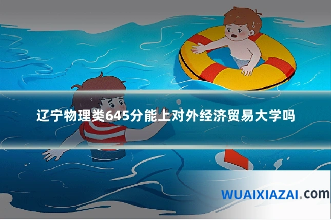 辽宁物理类645分能上对外经济贸易大学吗