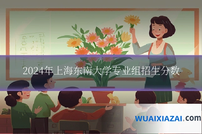 2024年上海东南大学专业组招生分数