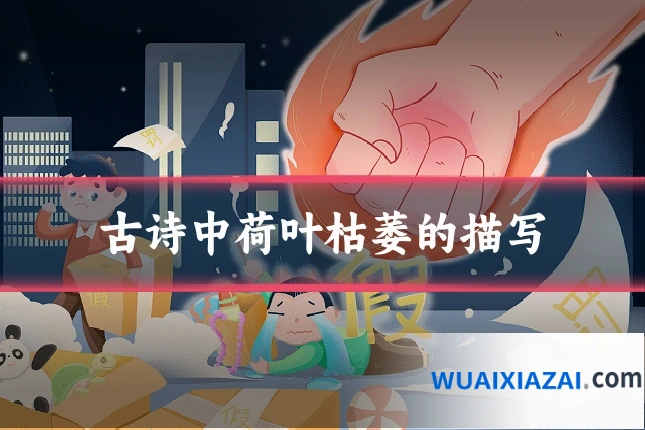 古诗中荷叶枯萎的描写