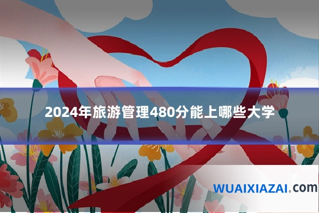 2024年旅游管理480分能上哪些大学