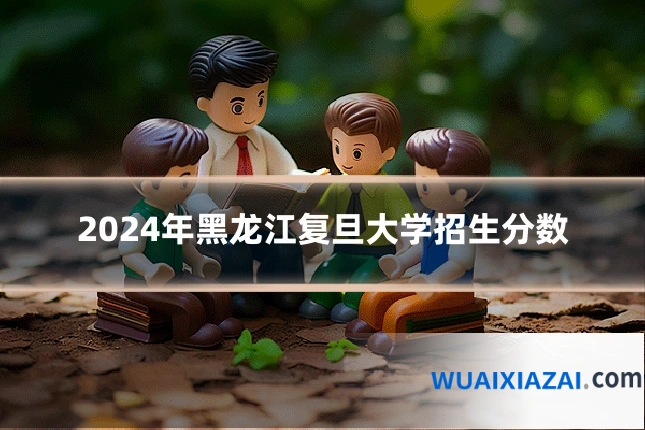 2024年黑龙江复旦大学招生分数