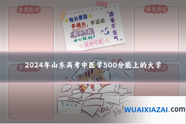 2024年山东高考中医学500分能上的大学
