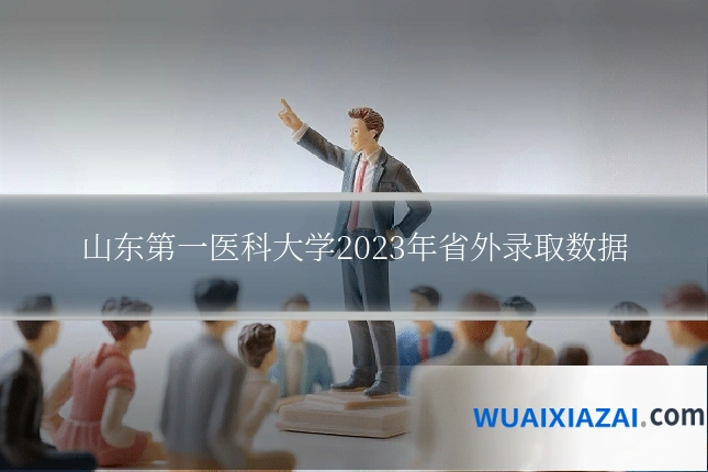 山东第一医科大学2023年省外录取数据