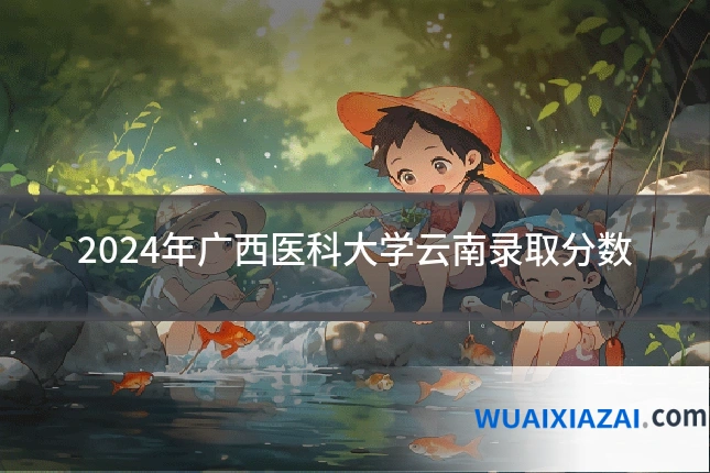 2024年广西医科大学云南录取分数
