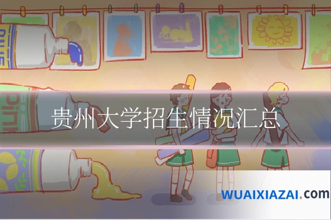 贵州大学招生情况汇总