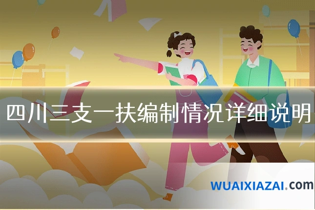 四川三支一扶编制情况详细说明