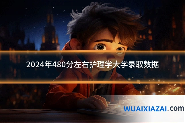 2024年480分左右护理学大学录取数据