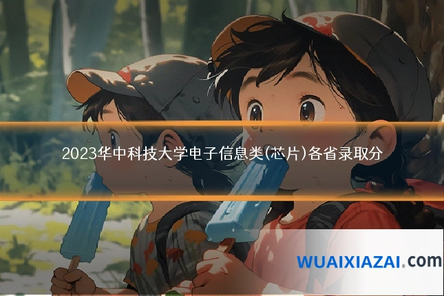 2023华中科技大学电子信息类(芯片)各省录取分