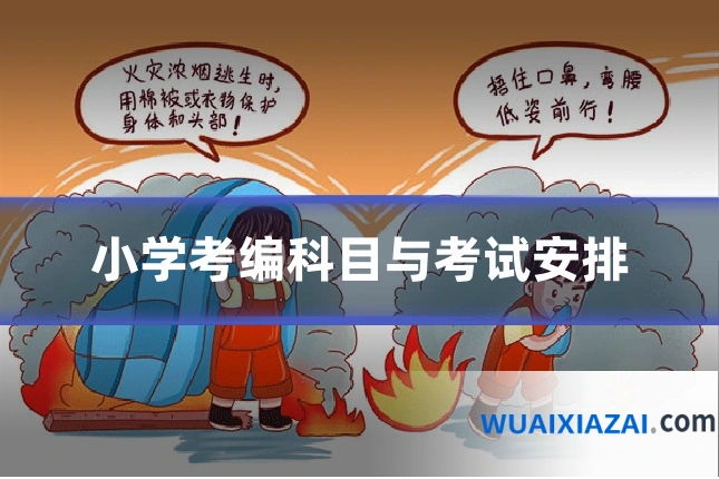 小学考编科目与考试安排