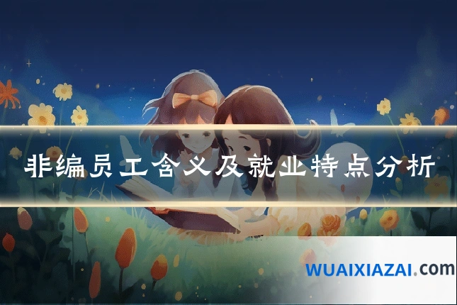 非编员工含义及就业特点分析
