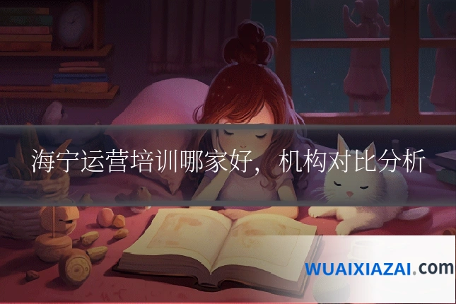 海宁运营培训哪家好,机构对比分析
