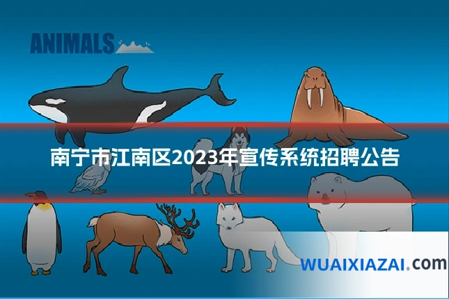 南宁市江南区2023年宣传系统招聘公告