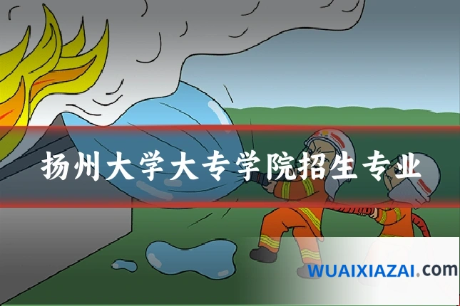 扬州大学大专学院招生专业