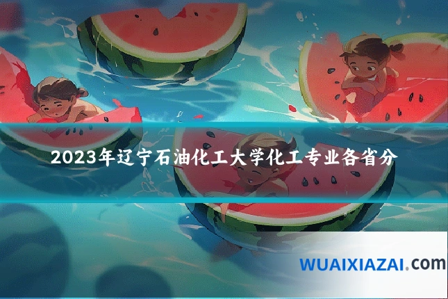 2023年辽宁石油化工大学化工专业各省分