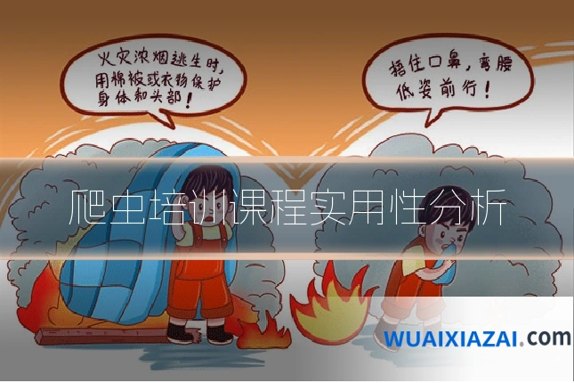 爬虫培训课程实用性分析