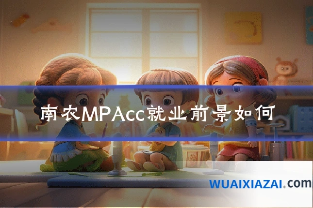 南农MPAcc就业前景如何