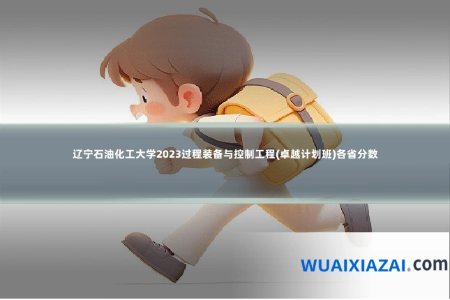 辽宁石油化工大学2023过程装备与控制工程(卓越计划班)各省分数