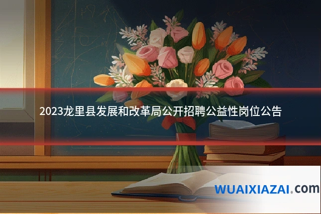 2023龙里县发展和改革局公开招聘公益性岗位公告