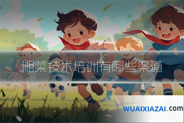 湘菜技术培训有哪些渠道