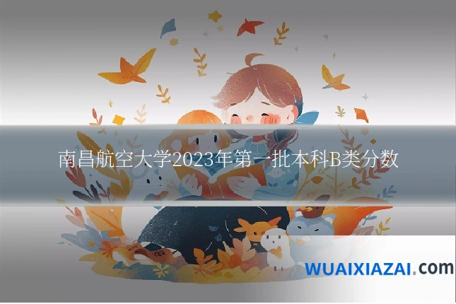 南昌航空大学2023年第一批本科B类分数