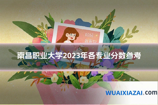 南昌职业大学2023年各专业分数参考