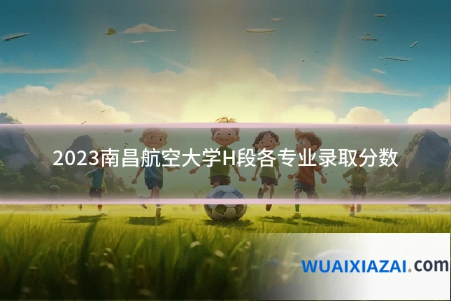 2023南昌航空大学H段各专业录取分数