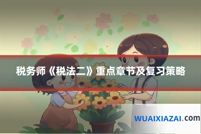 税务师《税法二》重点章节及复习策略