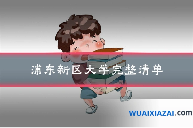 浦东新区大学完整清单