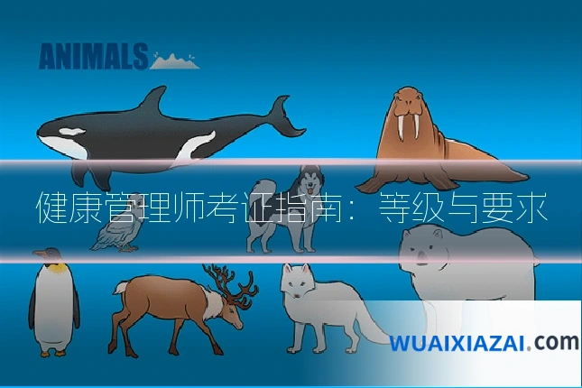 健康管理师考证指南：等级与要求