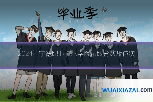 2024年宁德职业技术学院录取分数及位次