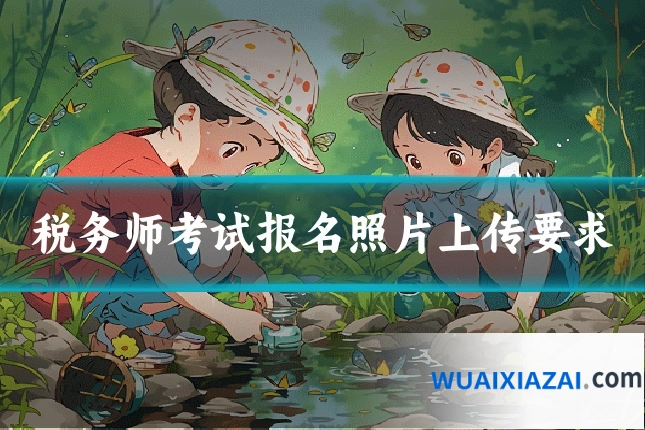 税务师考试报名照片上传要求