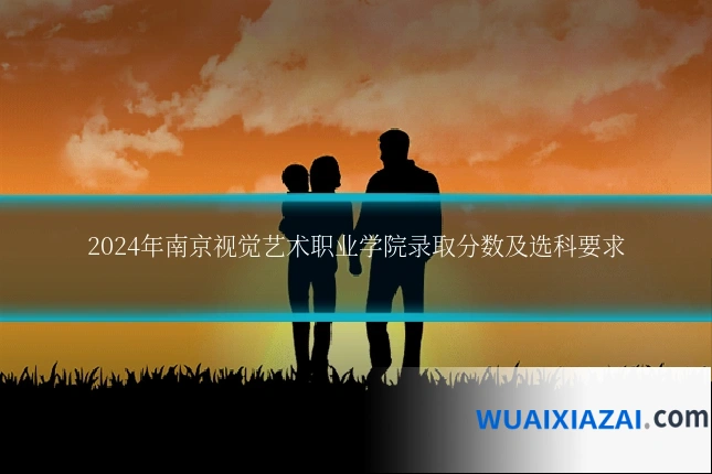 2024年南京视觉艺术职业学院录取分数及选科要求