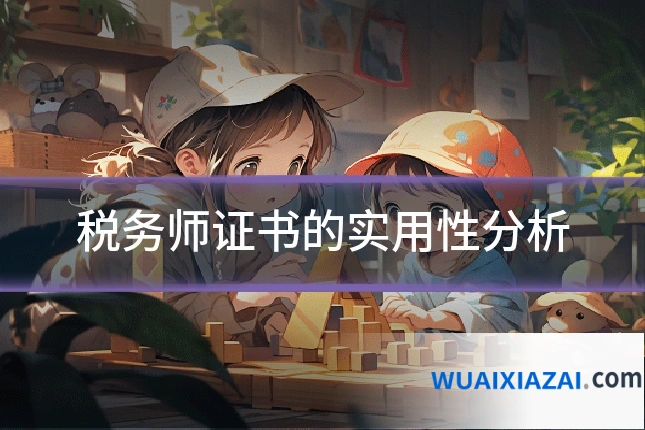 税务师证书的实用性分析