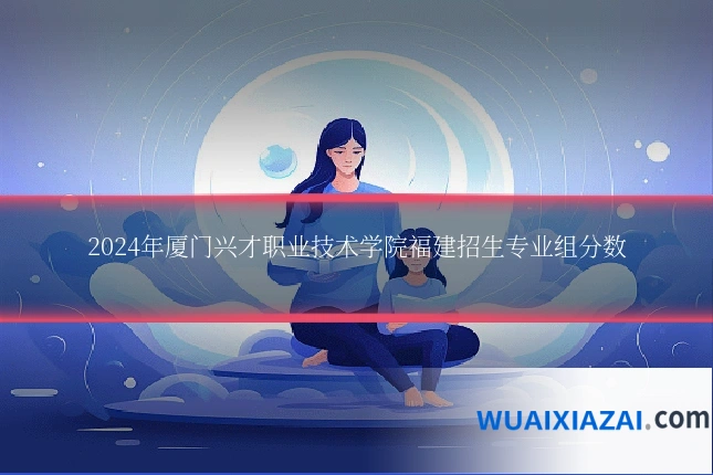 2024年厦门兴才职业技术学院福建招生专业组分数