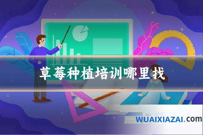 草莓种植培训哪里找