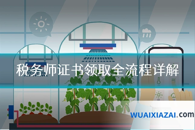 税务师证书领取全流程详解