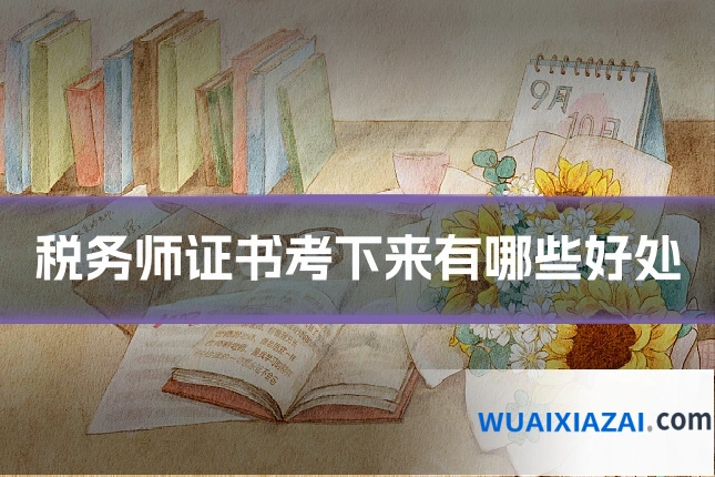 税务师证书考下来有哪些好处