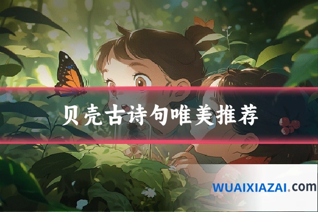 贝壳古诗句唯美推荐