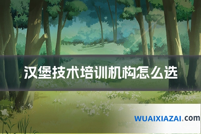 汉堡技术培训机构怎么选