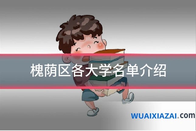 槐荫区各大学名单介绍