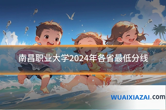 南昌职业大学2024年各省最低分线