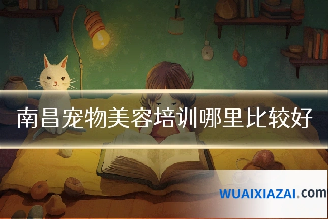 南昌宠物美容培训哪里比较好