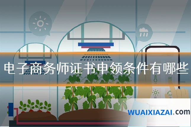电子商务师证书申领条件有哪些