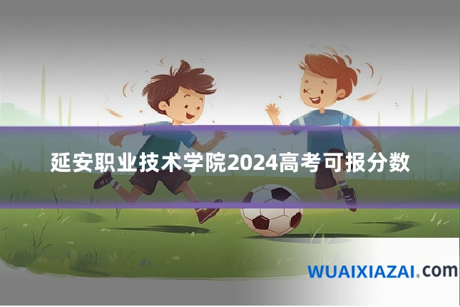 延安职业技术学院2024高考可报分数