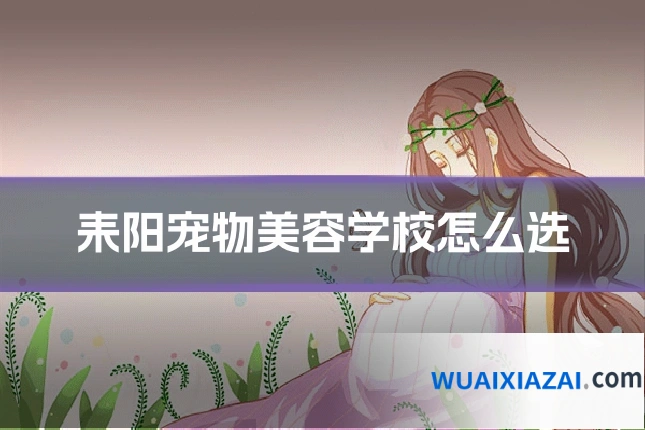 耒阳宠物美容学校怎么选