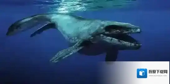 方舟生存进化手游沧龙如何驯服 沧龙外观及掉落物