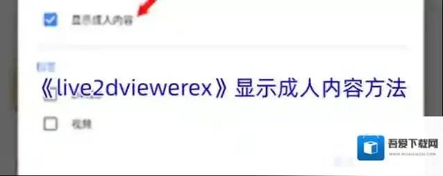 《live2dviewerex》显示成人内容方法