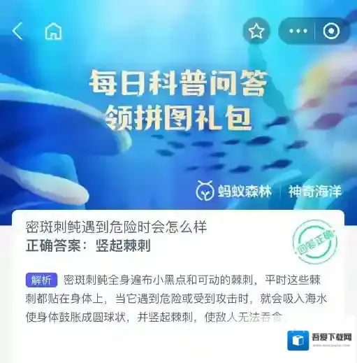 支付宝密斑刺鲀